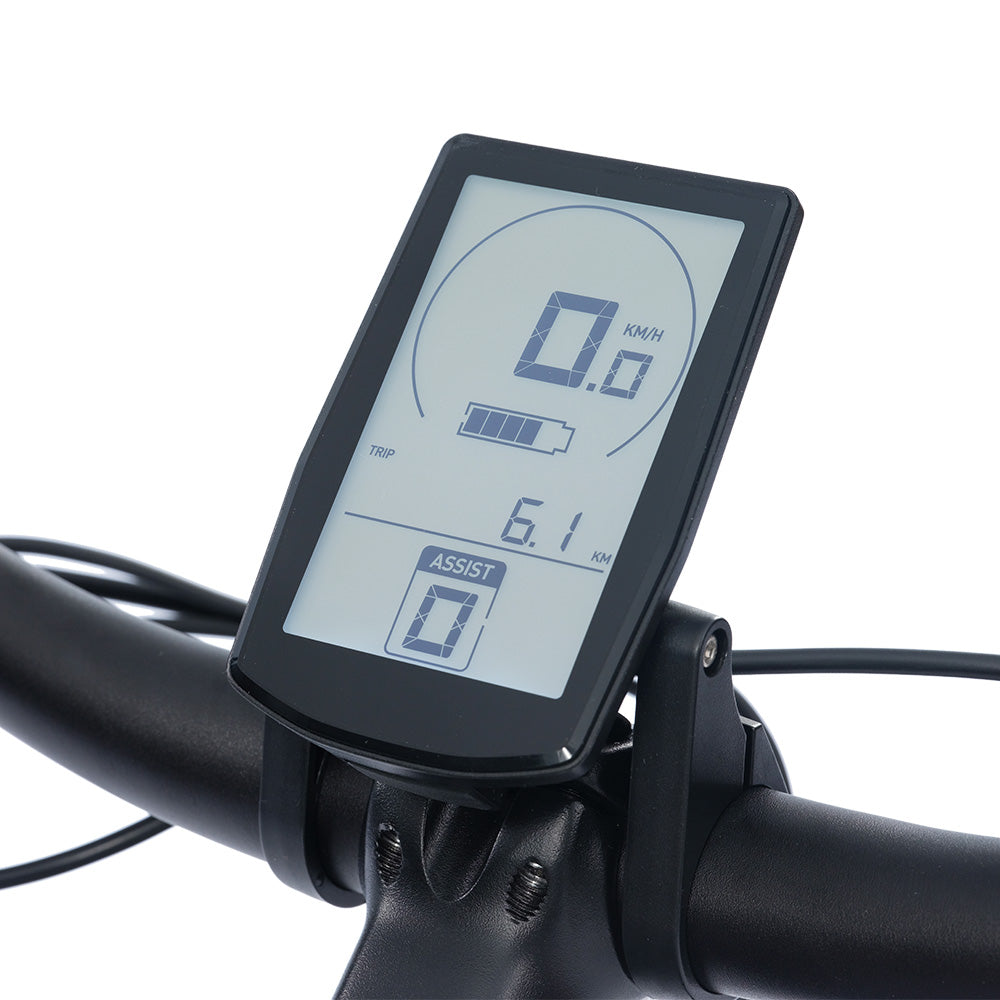 VIAURBE Standard Smart Ebike LCD Display
