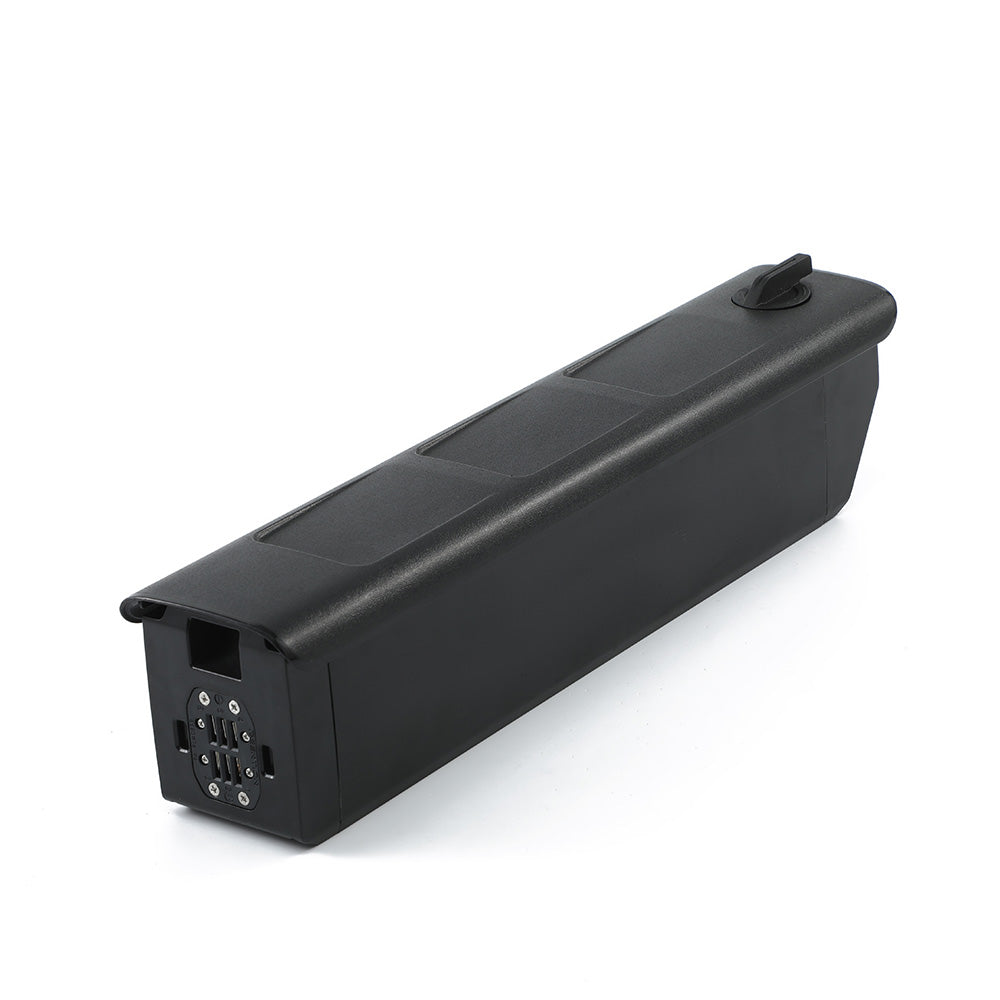 ViaCommuter / ViaCarrier Original Battery Pack