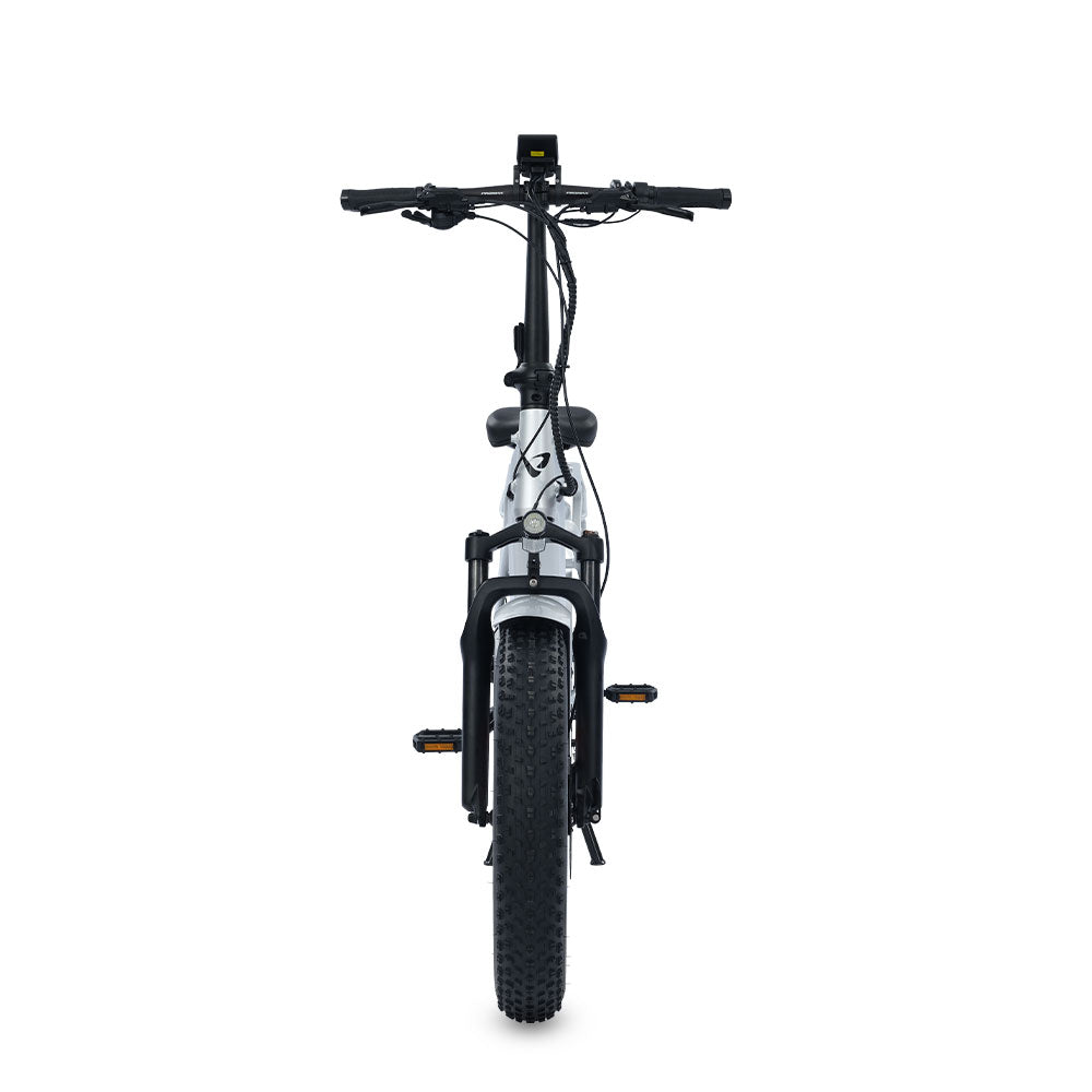 ViaCarrier Utility Cargo Electric Bike
