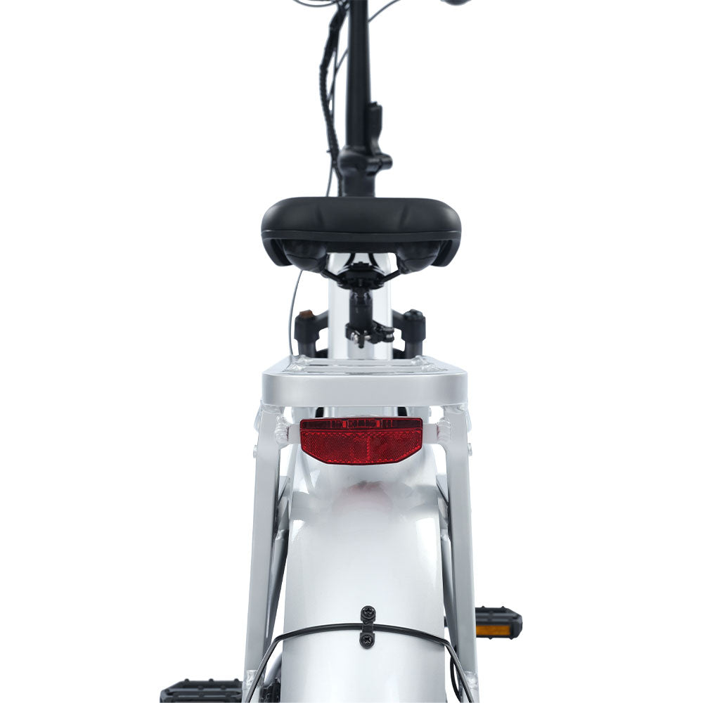 ViaCarrier Utility Cargo Electric Bike
